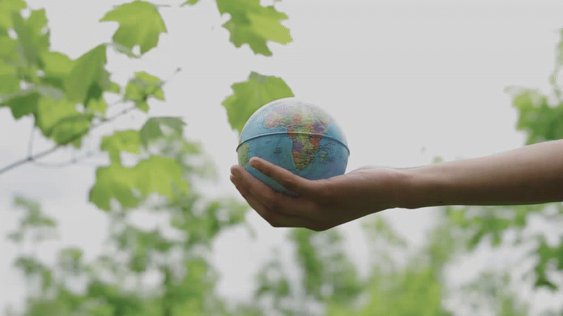 Globe Image